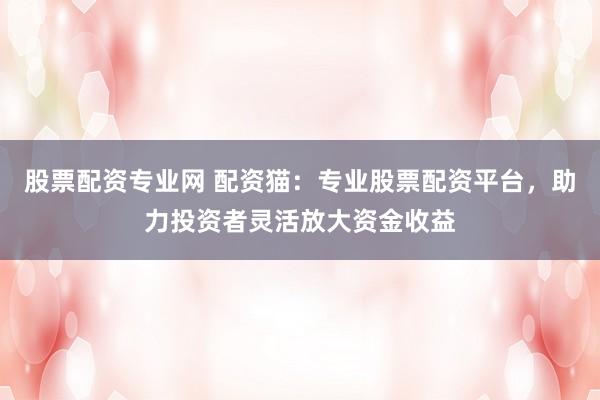 股票配资专业网 配资猫：专业股票配资平台，助力投资者灵活放大资金收益