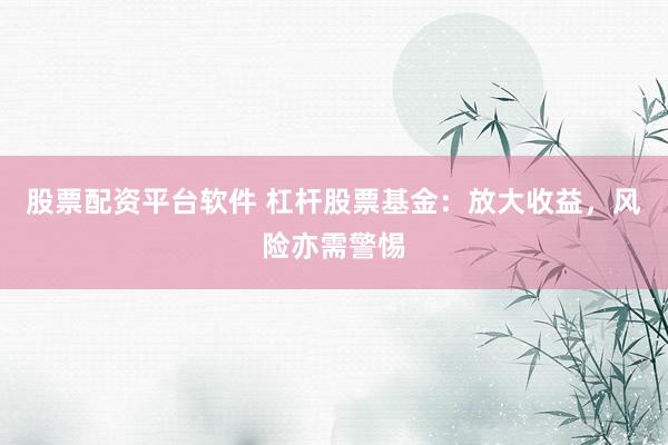 股票配资平台软件 杠杆股票基金：放大收益，风险亦需警惕