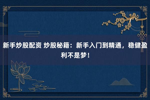 新手炒股配资 炒股秘籍：新手入门到精通，稳健盈利不是梦！