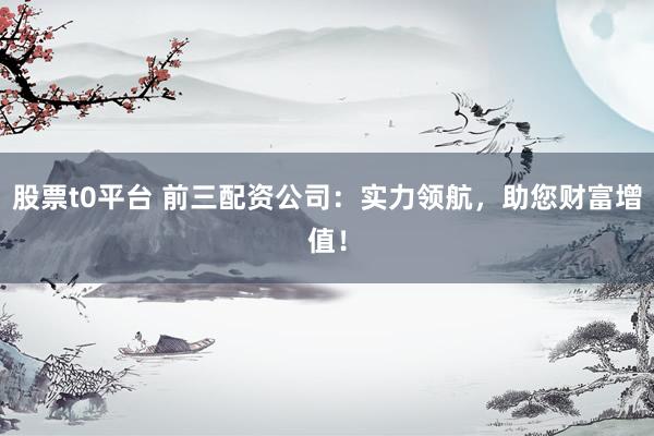 股票t0平台 前三配资公司：实力领航，助您财富增值！