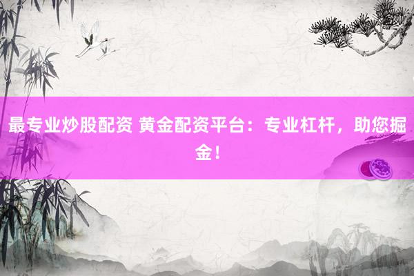 最专业炒股配资 黄金配资平台：专业杠杆，助您掘金！
