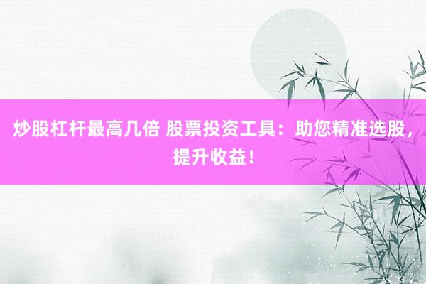 炒股杠杆最高几倍 股票投资工具：助您精准选股，提升收益！