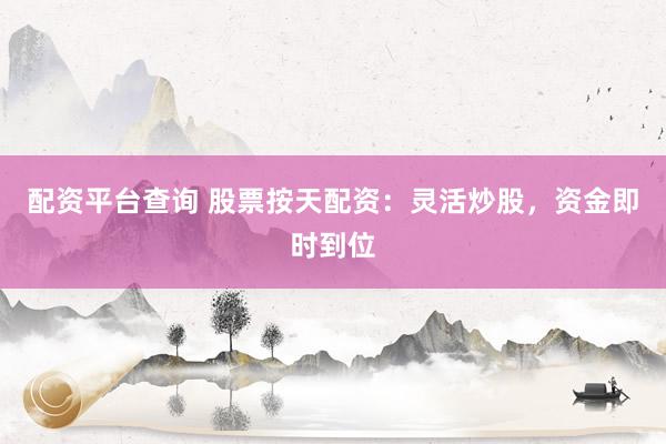 配资平台查询 股票按天配资：灵活炒股，资金即时到位