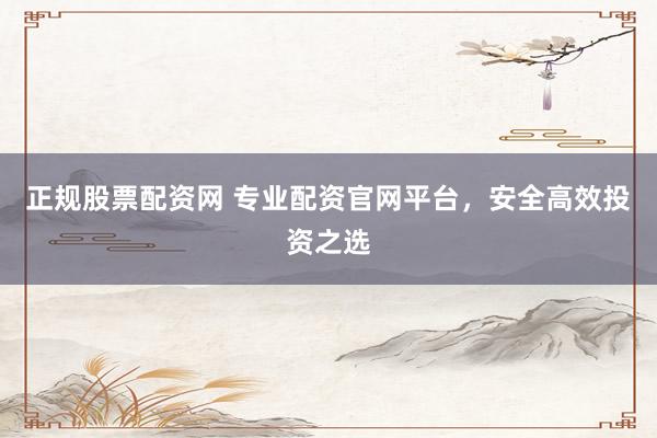 正规股票配资网 专业配资官网平台，安全高效投资之选
